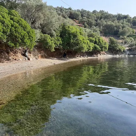 Chiona΄S Apartments By The Sea Paleo Trikeri Extérieur photo